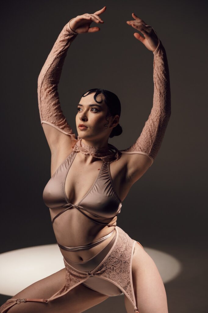 VEIL sleeves — Light pink lace